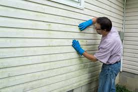 Best Wood Siding Installation  in Buttonwillow, CA